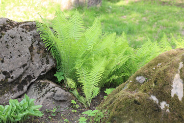 Similar image 21180957