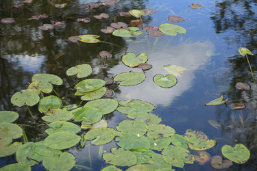 Similar image 21180959