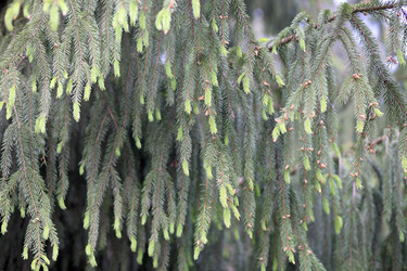 Similar image 21180961