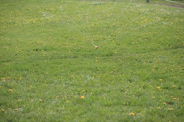 Similar image 21180963