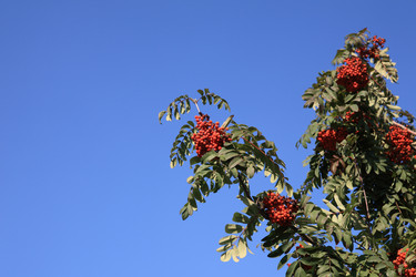 Similar image 21180974