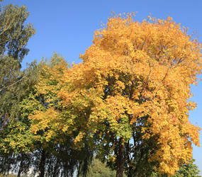 Similar image 21148627