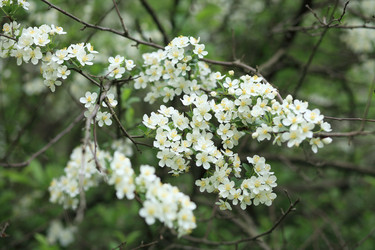 Similar image 21148628