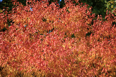 Similar image 21148631