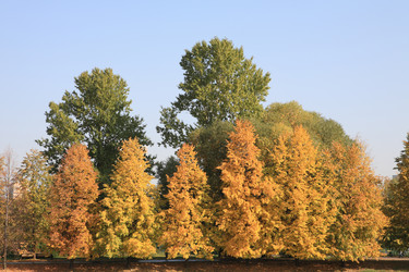 Similar image 21148640