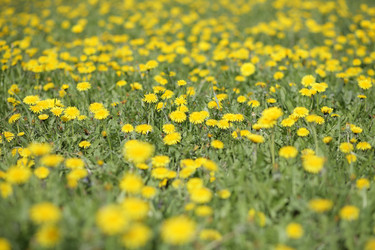 Similar image 21148644