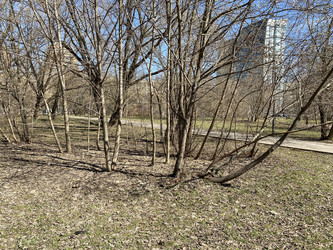 Similar image 21148646