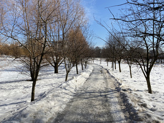 Similar image 21148650