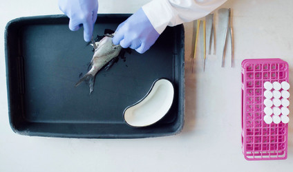 Similar image 21146187