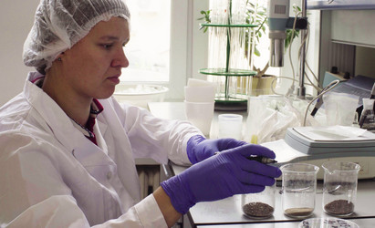 Similar image 21147740