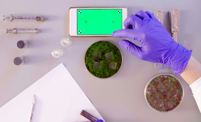 Similar image 21146194