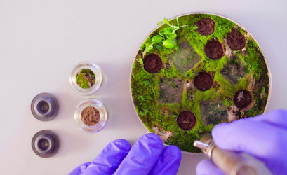 Similar image 21146195