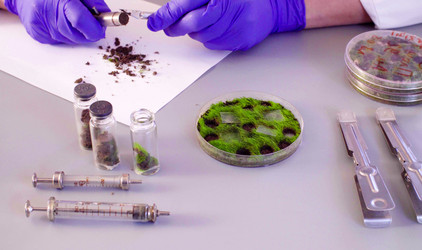 Similar image 21146196