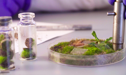 Similar image 21146199