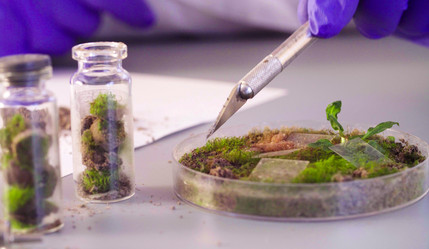 Similar image 21146200