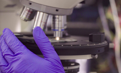 Similar image 21146205