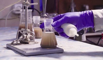 Similar image 21146206