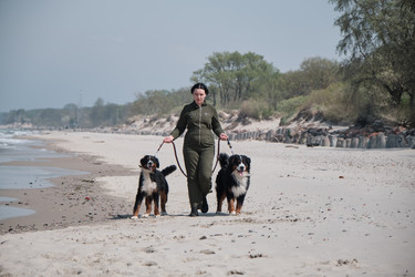 Similar image 21151671