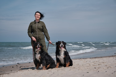 Similar image 21151786