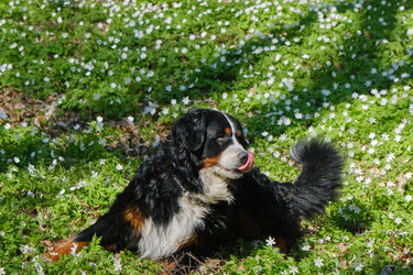 Similar image 21151790