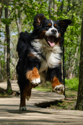 Similar image 21151791