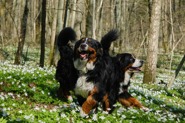 Similar image 21151792