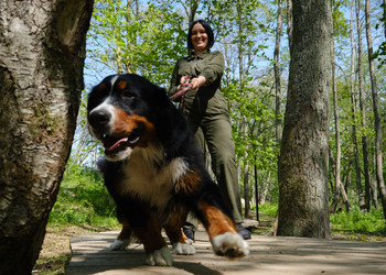 Similar image 21151793