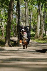 Similar image 21151794