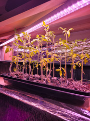 Similar image 21151795