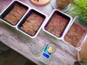 Similar image 21151798