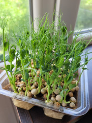 Similar image 21151805