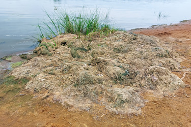 Similar image 21147436