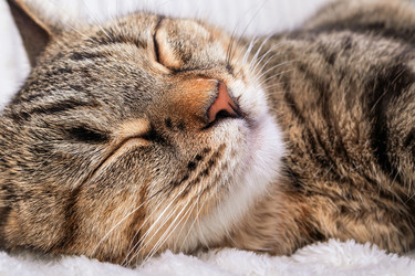 Similar image 21147442