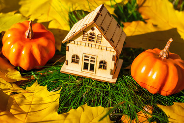 Similar image 21147461