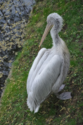 Similar image 21153956