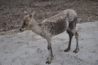 Similar image 21153958