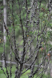 Similar image 21153961