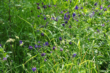 Similar image 21153963