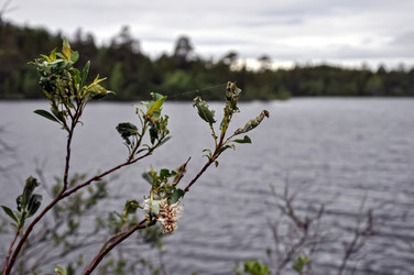 Similar image 21153965