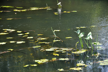 Similar image 21153967