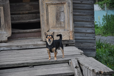 Similar image 21153978