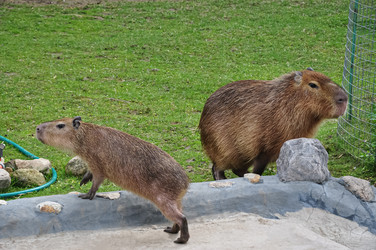 Similar image 21153979