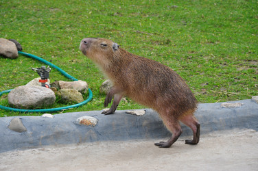 Similar image 21153981