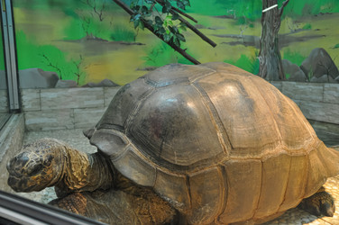 Similar image 21153983