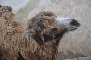 Similar image 21153988