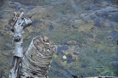 Similar image 21153993