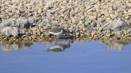 Similar image 21148926