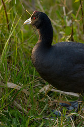 Similar image 21148935