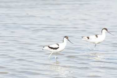 Similar image 21148943