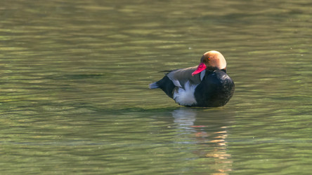 Similar image 21148948